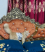 Traditional persian cat